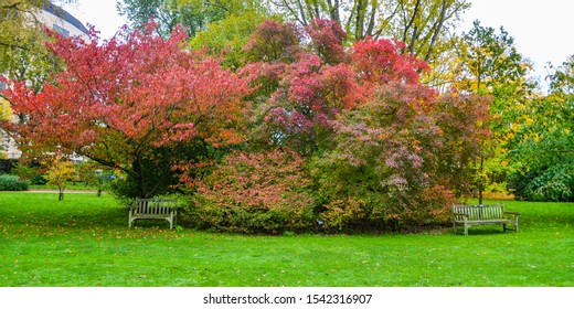 Cambridge Botanic Gardens, Colorful Autumn