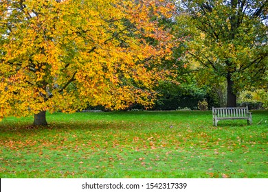 Cambridge Botanic Gardens, Colorful Autumn