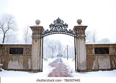 Cambridge Common park during snowfall in New England winter