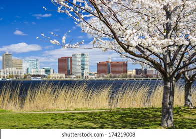 Cambridge, Massachusetts skyline in the spring.