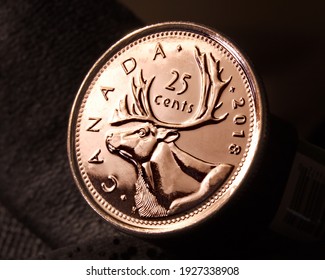 Cambridge, Ontario, Canada -  February 27 2021 : Showing the top of the head of a caribou bust, on a Canadian 2018 twenty-five cent coin.