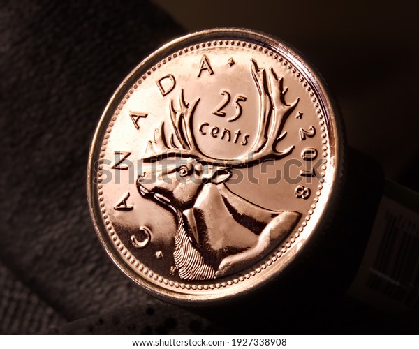Cambridge, Ontario, Canada -  February 27 2021 :\
Showing the top of the head of a caribou bust, on a Canadian 2018\
twenty-five cent\
coin.