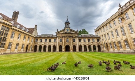 647 Emmanuel college Images, Stock Photos & Vectors | Shutterstock