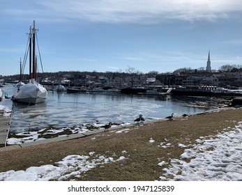 Camden Maine Harbor During The Winter