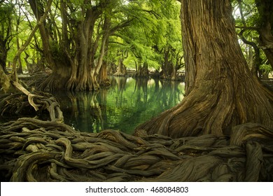 Camecuaro Lake, Zamora, Michoacan, Mexico, 