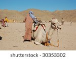 Camel and the boy