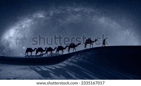 Camel caravan in the desert with Milky Way galaxy -  Sahara, Morrocco 