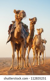 Camel Caravan Going Through The Desert