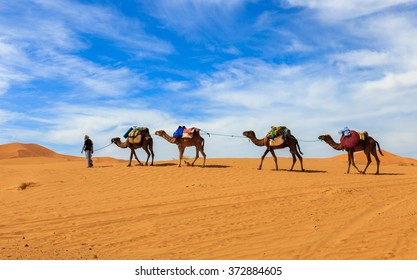 Caravane Desert Images Photos Et Images Vectorielles De Stock Shutterstock