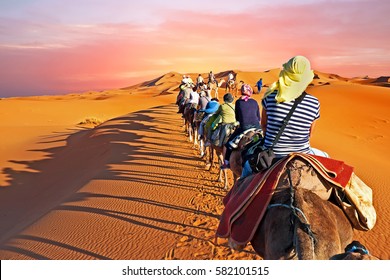 Kamelkarawane, die bei Sonnenuntergang durch die Wüste Marokkos führt