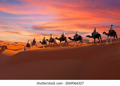 Camel caravan going through the Sahara desert in Morocco at sunset - Shutterstock ID 2069066327
