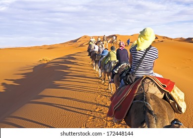 Camel caravan going through the sand dunes in the Sahara Desert, Morocco.