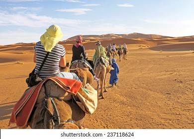 Camel caravan going through the sand dunes in the Sahara