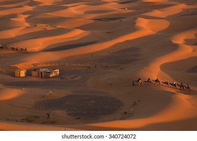 Camel caravan going through the sand dunes in the Sahara Desert, Morocco.