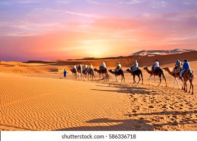 Kamelkarawane durch die Sanddünen der Sahara, Marokko.