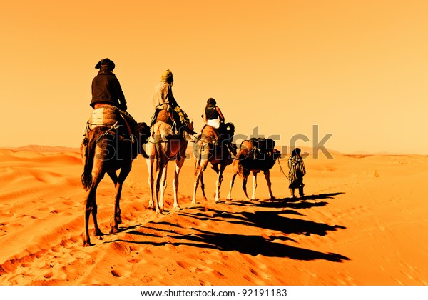 Camel caravan going through the sand dunes in\
the Sahara Desert,\
Morocco.