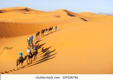 Camel caravan on the Sahara desert
