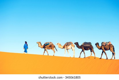 Camel Caravan On The Sahara Desert