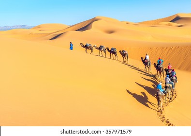 Camel Caravan On The Sahara Desert