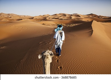 Camel Caravan On The Sahara Desert