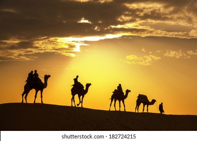 Camel Caravan Silhouette Through The Sand Dunes Lead Nose At Thar Desert India Dramatic Sunlight  Background