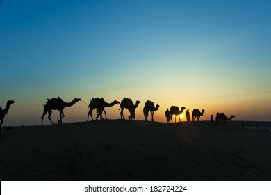 Camel Caravan Silhouette Through The Sand Dunes Lead Nose At Thar Desert India Dramatic Sunlight  Background