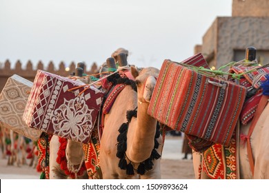Camel caravan in Souq Okaz Festival the Arabian traditional cultural event in Taif, Saudi Arabia.