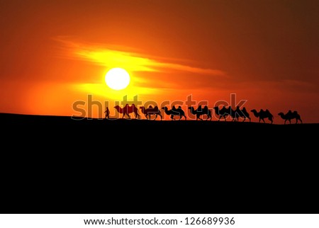 Similar – Image, Stock Photo steppe ride Ride Nature