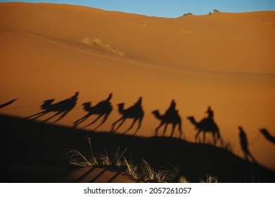 Camel Convoy Crossing Sahara Desert