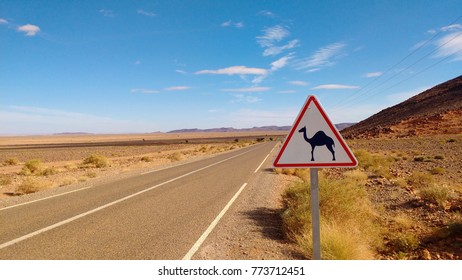 Camel Crossing Sign