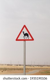 Camel Crossing Traffic Sign Board 