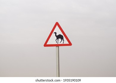 Camel Crossing Traffic Sign Board 