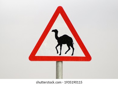 Camel Crossing Traffic Sign Board 