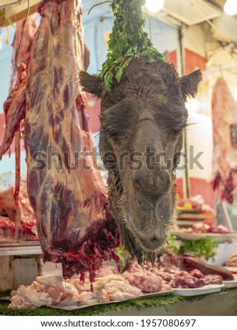 Camel head in a meat shop in Fes old town bazaar, Morocco