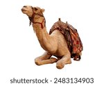 camel, illustration, arabian, animal, arabia