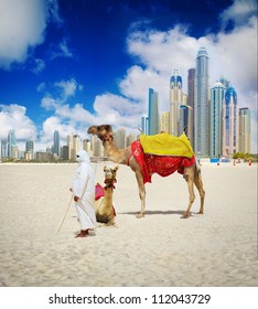 Camel On Dubai Beach, United Arab Emirates