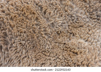 2,035 Hairy camel Images, Stock Photos & Vectors | Shutterstock
