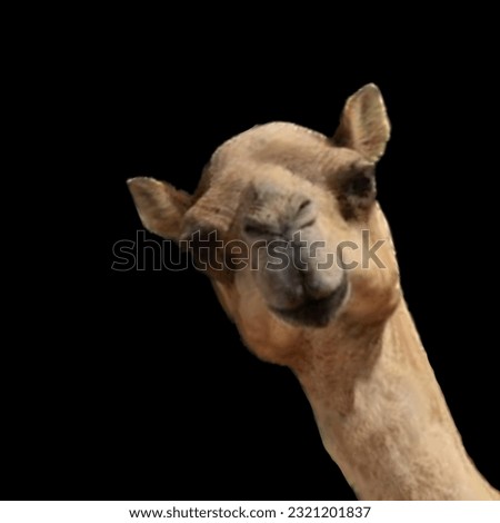 A Camel Posing on Black Background