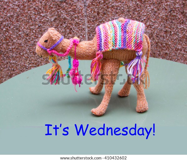 hump day stuffed camel
