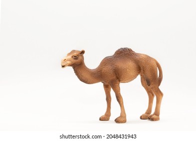 Camel, Realistic Animal Toys. Plastic Animal Toy For Children