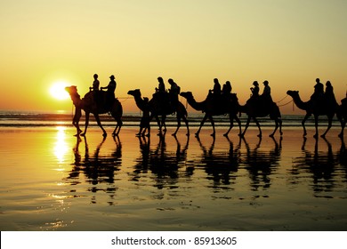 Camel Ride In Cable Beach, Broome, Australia.