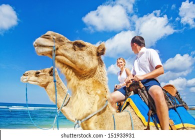 Camel Ride On Wedding Day (focus On Face Of Bride)