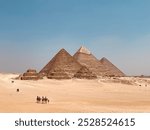 Camel rides in front of the pyramids of Giza in Egypt