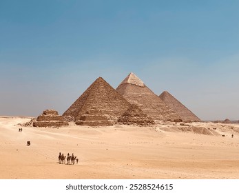 Camel rides in front of the pyramids of Giza in Egypt