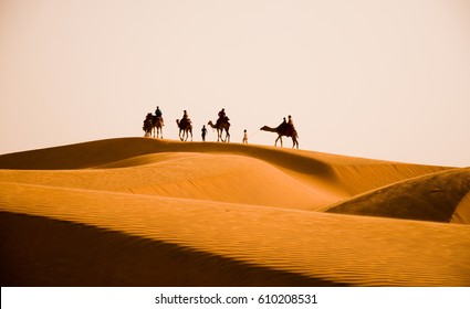 Camel Safari Tour In Rajasthan, India.
