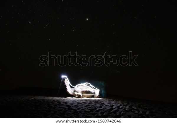 Camel taken at night in the desert using light painting\
technics 