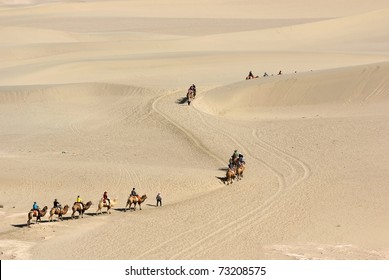 Camel Train In Desert