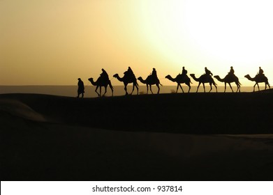 Camel Train, Morocco