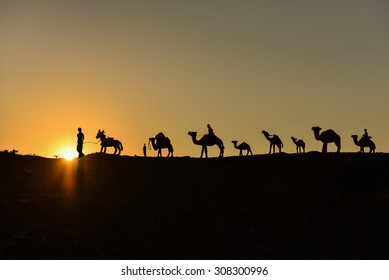 Camel Train Silhouette