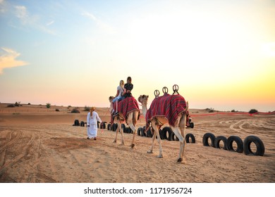 Camel Trek At Desert Safari Dubai.